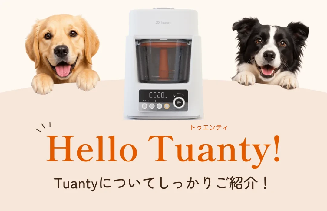 Hello Tuanty（トゥエンティ）