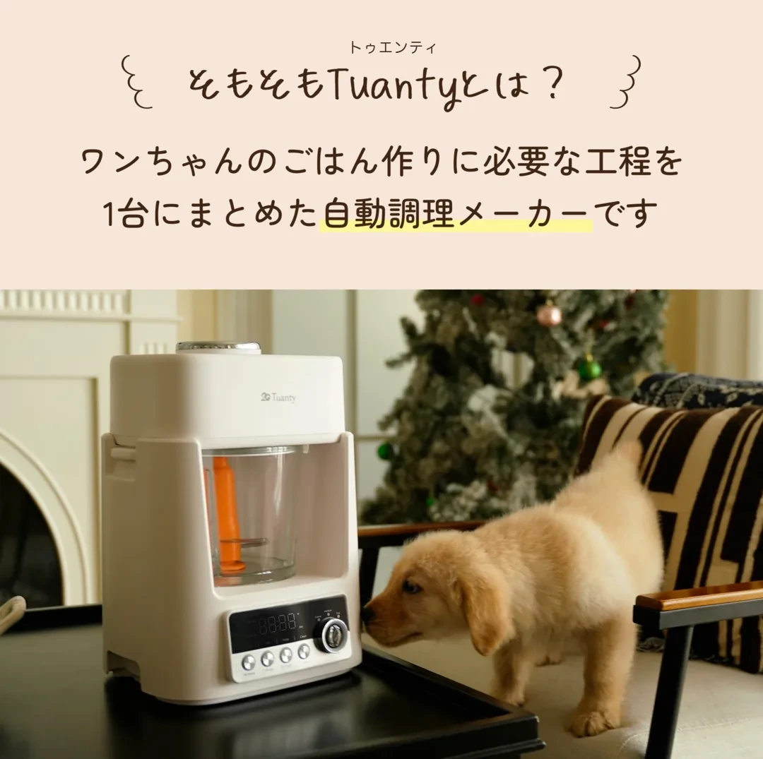 Tuanty（トゥエンティ）とは
