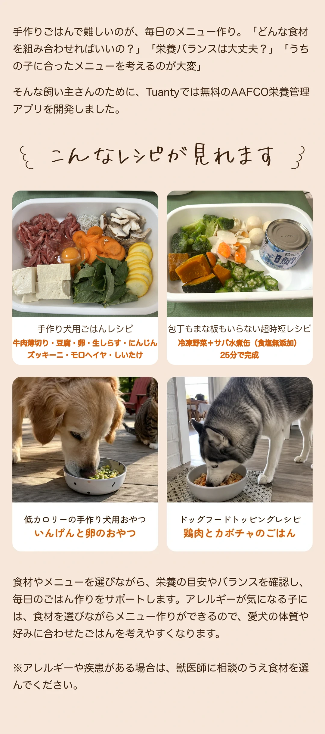 アプリで見られる犬の手作りごはんレシピ例。牛肉と豆腐のごはん、冷凍野菜とサバ水煮缶の超時短レシピ、いんげんと卵のおやつ、鶏肉とかぼちゃのごはん