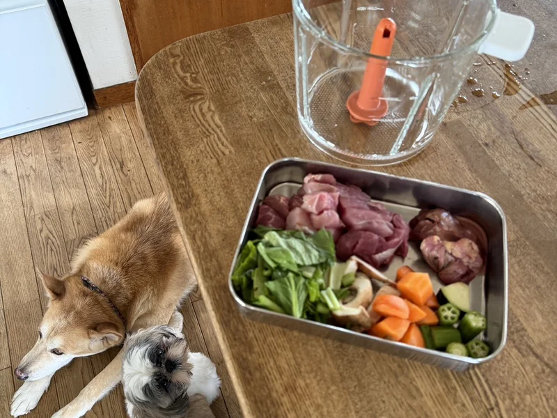 Tuantyのガラスボウルと、下ごしらえした肉と野菜を待つ2頭の愛犬